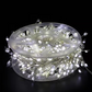 ✨✨LAST DAY SALE 50% OFF!!✨✨Copper Wire Firecracker Light String