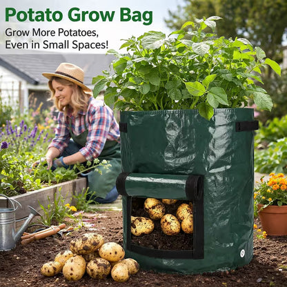 ⏳Limited-time 50% off⏰Planting Bag with Harvest Window🌱🥔