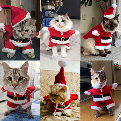 🔥 LAST DAY PROMOTION - 50%OFF 🎄Christmas Discounts🎄Autumn And Winter Cat Christmas Dog Clothes