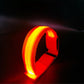 LED Horse Leg Bands