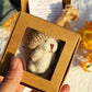 💖Today Only £8.99 each🎁Handmade Mini Plush Teddy Bear in Box🧸