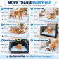🔥 Black Friday Sale 🐾 4XL Extra-Large Dog Training Pads – More Coverage for Large Dogs & Multi-Pet Homes