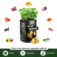 ⏳Limited-time 50% off⏰Planting Bag with Harvest Window🌱🥔