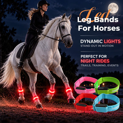 LED Horse Leg Bands