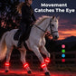 LED Horse Leg Bands