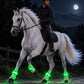 LED Horse Leg Bands