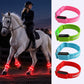 LED Horse Leg Bands
