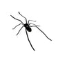 Spider Fridge Magnet Decoration, Removable Magnetic Spider Decals for Refrigerator, Garage Door, Car & Indoor Outdoor Deco