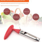 📢Hot Sale🔥Stainless Steel Fruit Corer