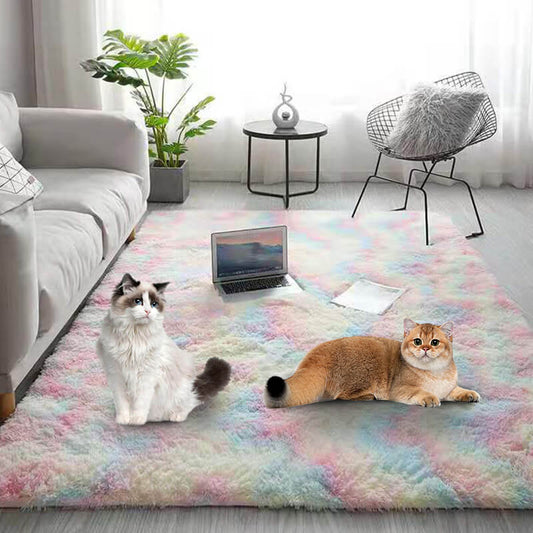 🔥Hot Sale🔥Gradient Color Plush Floor Mat
