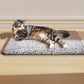 🥳2026 HOT SALE🥳💞50K+ SOLD! 🐾🔥 50% OFF! Self-Heating Pet Pad – no plug needed, reflects body heat, ultra-soft & anti-slip. Washable comfort for cats & dogs this winter! 🛏️💚