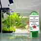 💥BIG SALE !!♻️💧Powerful Aquarium Water Purification Tablet