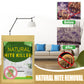 ⏳LAST DAY SALE ONLY ￡7.99!!🌿🛡️ The UK’s #1 Natural Mite Control Sachet– Vetted by Allergy UK • 100% Chemical-Free • Safe for Babies, Pets & Asthma Sufferers 🇬🇧🛏️✨