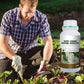 🔥 LAST DAY PROMOTION - 50%OFF 🔥 Rapid Strong Rooting Fertilizer