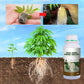 🔥 LAST DAY PROMOTION - 50%OFF 🔥 Rapid Strong Rooting Fertilizer