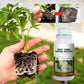 🔥 LAST DAY PROMOTION - 50%OFF 🔥 Rapid Strong Rooting Fertilizer