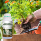 🔥 LAST DAY PROMOTION - 50%OFF 🔥 Rapid Strong Rooting Fertilizer