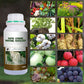 🔥 LAST DAY PROMOTION - 50%OFF 🔥 Rapid Strong Rooting Fertilizer
