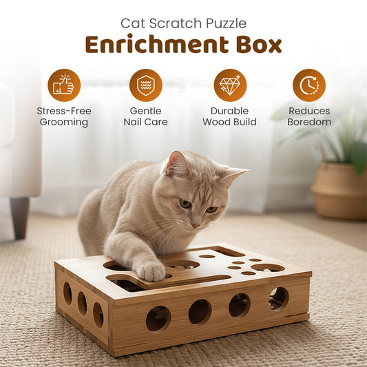 🎁🎄Cat Scratch Puzzle Enrichment Box: Nail File Stress Free Alternative to Clippers and Grinders