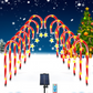 Christmas Outdoor Solar Candy Cane Lights