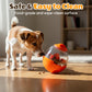 Interactive Tumbler Puzzle Feeder for Dogs & Cats