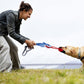Interactive Shark Dog Tug Toy with Squeaker & Rope Knot