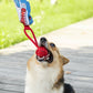 Interactive Shark Dog Tug Toy with Squeaker & Rope Knot