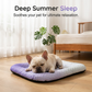 🐾❄️Pet Cooling Mat for Dogs & Cats🐶Naturally Cool Ice-Silk Pad Breathable, Washable & Soft 🌿  For Floors, Sofas & Car Travel Multiple Sizes Gradient Colours🐱