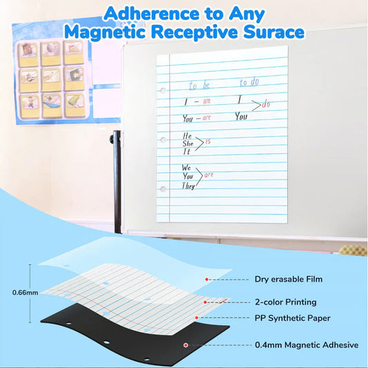 Magnetic Dry Erase Lined Whiteboard