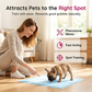 Pet Potty Training Spray for Dogs & Cats