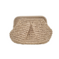 Handwoven Straw Handbag for Women