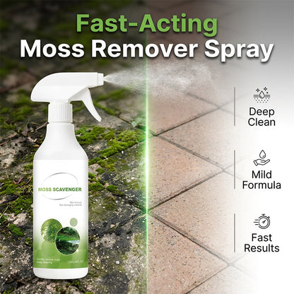 Outdoor Moss & Algae Remover Spray
