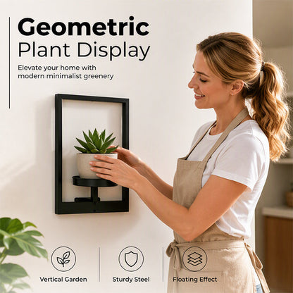 Wall-Mounted Planters for Indoor Plants