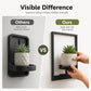 Wall-Mounted Planters for Indoor Plants