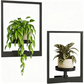 Wall-Mounted Planters for Indoor Plants