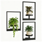Wall-Mounted Planters for Indoor Plants