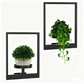 Wall-Mounted Planters for Indoor Plants