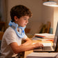 Posture Fix – Light & Adjustable Support