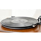 Anti-Static Vinyl Record Cleaning Spray