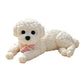 ⏳🔥LIMITED-TIME 50% OFF! ⏰Cute Squishy Teddy Dog Stress Relief Toy🐾