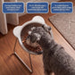 🎃Halloween Deal 50% OFF!🥣15° Tilted Orthopaedic Feeding Bowl