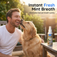 No-Brush Pet Dental Spray