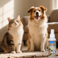 No-Brush Pet Dental Spray