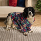 Funny Festive Dog Hooded Sweater