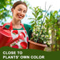 🌱 Adjustable Climbing Plant Stakes – Natural‑Look, Tool‑Free Support for Indoor & Outdoor Vertical Growth