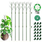 🌱 Adjustable Climbing Plant Stakes – Natural‑Look, Tool‑Free Support for Indoor & Outdoor Vertical Growth