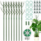 🌱 Adjustable Climbing Plant Stakes – Natural‑Look, Tool‑Free Support for Indoor & Outdoor Vertical Growth