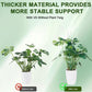 🌱 Adjustable Climbing Plant Stakes – Natural‑Look, Tool‑Free Support for Indoor & Outdoor Vertical Growth