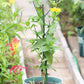 🌱 Adjustable Climbing Plant Stakes – Natural‑Look, Tool‑Free Support for Indoor & Outdoor Vertical Growth