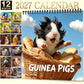 Adorable Guinea Pig Wall Calendar